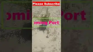 My portulaca collection #shorts #youtubeshorts #shortvideo #portulacaflower #portulaca