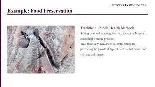 Lesson 11: Factors Influencing Microbial Growth