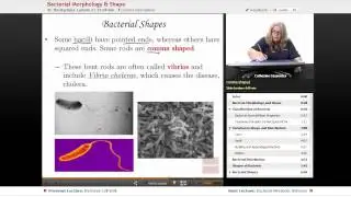 Microbiology Help at Educator.com