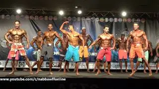 Comparisons &ndash; Men Tall Bermuda Model - WFF World Championship 2017