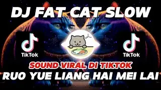 DJ FAT CAT SLOW REMIX | RUO YUE LIANG HAI MEI LAI VIRAL TIKTOK NEW DJ 2024