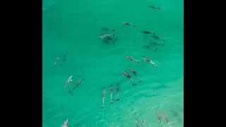 MORNING IN BYRON BAY // AUSTRALIA JUNE 2018
