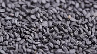 Nigella Seeds Benefits #videos #nigella #nigellaseeds #plantlovers @Plants-World