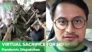Celebrating Eid al-Adha in Indonesia with a virtual sacrifice | Pandemic Dispatches | Coconuts TV