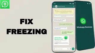 Как исправить и устранить зависание приложения WhatsApp Business | Пошаговая инструкция