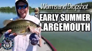 Catching Largemouth Bass: Texas Rig and Drop Shot Fishing Techniques