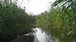 Narew River National Park