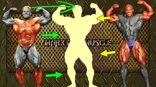RONNIE COLEMAN and JAY CUTLER (The Ultimate Bodybuilder)