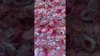 Pink Flower Wall