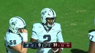 Texas A&M vs Samford 2025 - Highlights