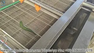 6m Air Bubble Fruit and Vegetable Washing Machine Conveyor Speed Test for Belarusian Customer