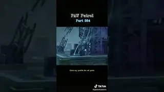 chase save Ryder part 8
