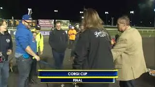 18 октября 2025 г. &mdash; ФИНАЛЬНЫЙ ЗАЕЗД CORGI CUP