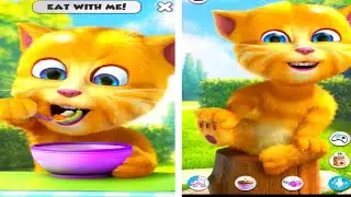 Talking Ginger Eating  | Talking Ginger