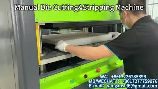 Foam Packaging Die Cutting & Stripping Machine in Action
