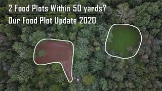 Check Out Our FOOD PLOTS | How &ldquo;Micro Plots&rdquo; Changed The Game