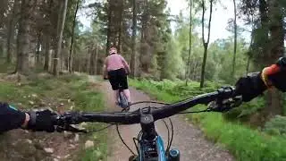 Banchory Woodland Trails- great for newbie mountain bikers