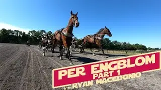 #Hambo18 A TrotCast Story: Per Engblom Part 1
