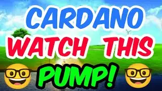 Cardano Watch Now! This Pump🥰 || Cardano Ada Price Prediction || Ada Today Update!