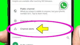 Whatsapp channel alerts setting | What is channel alerts setting in whatsapp channel