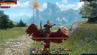 Contact From Marin Quest Riders of Icarus