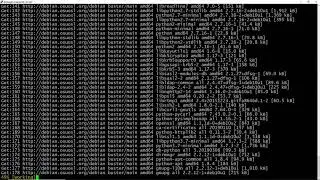 Upgrade Debian 9 Server to Debian 10
