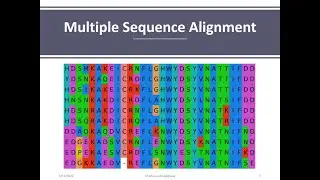 Section Multiple Sequence Alignment using Clustalw in UniProt database