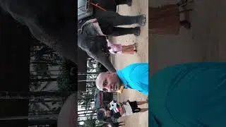 Путеводитель по Керале: Незабываемые впечатления от &laquo;Страны Бога&raquo; 🌴🛶