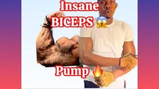 Ultimate Biceps Workout for Bigger Arms 💪 Barbell, Hammer & Kettlebell Curls. #seo 