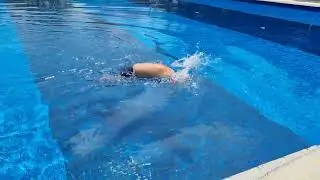 Limbering up - surface dives