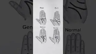 Which type are you? @akila creations #shorts #trending #shortsfeed #viralvideos #astrology