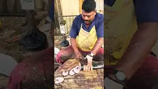 KASIMEDU SPEEDSELVAM BIG KING FISH CUTTING VIDEO #kasimeduselvam
