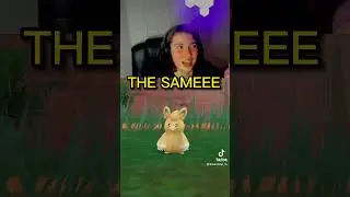 Pawmi&rsquo;s Evolution SUCKS