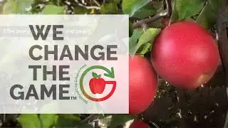 The Benefits of MaxCel® for Fruit Thinning on Apples