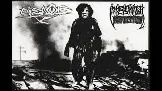 Bizarre X / Intestinal Infection - Split Tape