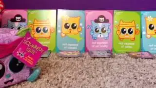 Squaredy cats review!