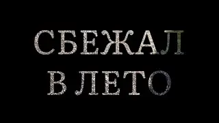 Воскресный побег в лето - выпуск #413 Ноябрь 6 2022 #1день1минута #франция #бретань #трекдня