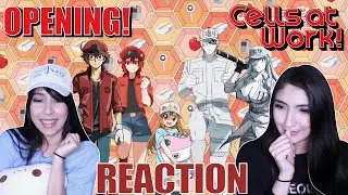 So Super Cute!! And then NOT?? | Cells at Work!! & CODE BLACK! All Openings