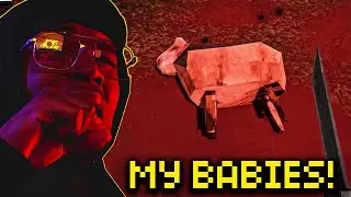 I Took In Orphan Sheep... But Mama Sheep Is Not Who She Seems!  | My Dear Sheep