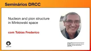Nucleon and pion structure in Minkowski space com Tobias Frederico