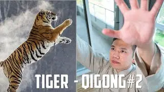 Five Animals Qi Gong - Tiger Form #2