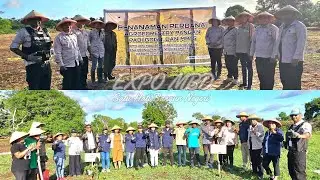 UPTD KPH MBD Tanam Perdana Padi Gogo dan MPTS