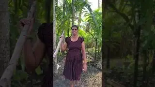 Papaya mallum  recipe | පැපොල් මැල්ලුම මෙහෙම හැදුවෙත් හැමදාම කන්න හිතෙයි😋😋😋
