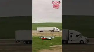 Steady Freight | Delta Carrier Group Keeps You Moving