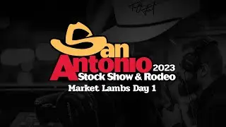 San Antonio Livestock Show 2023 - Market Lambs Day 1