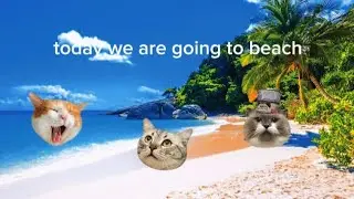 Today we are going to beach! Part 1 #meme #cat 