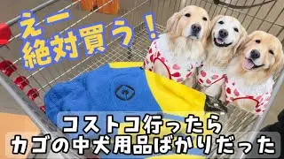 せっかくコストコ行ったのにカゴの中は犬用品ばっかり