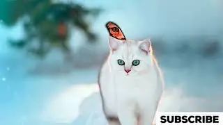 Whiskers' Winter Wonderland: A Cat's Snowy Expedition #funny #cartoon #disney #ai #cute #cuteanimals