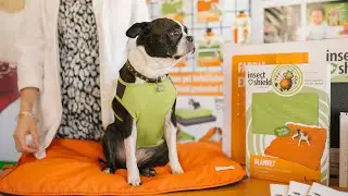 Insect Shield for Pets | Brand Introduction | Insect Shield Repellent Technology