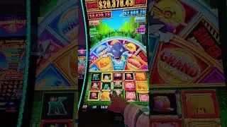 Scooba's gone crazy! #scoobaslots #entertainment #casino #humor #sarcasm #love #relax #adhd  #eega